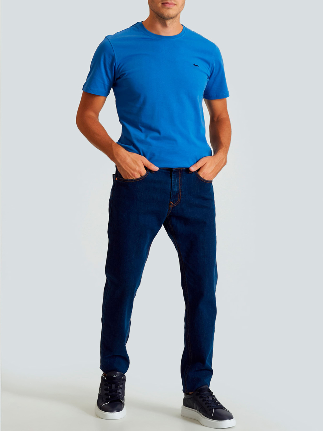 Футболка Harmont&Blaine модель INK001021223_805 Футболка Harmont&Blaine модель INK001021223_805 Фото