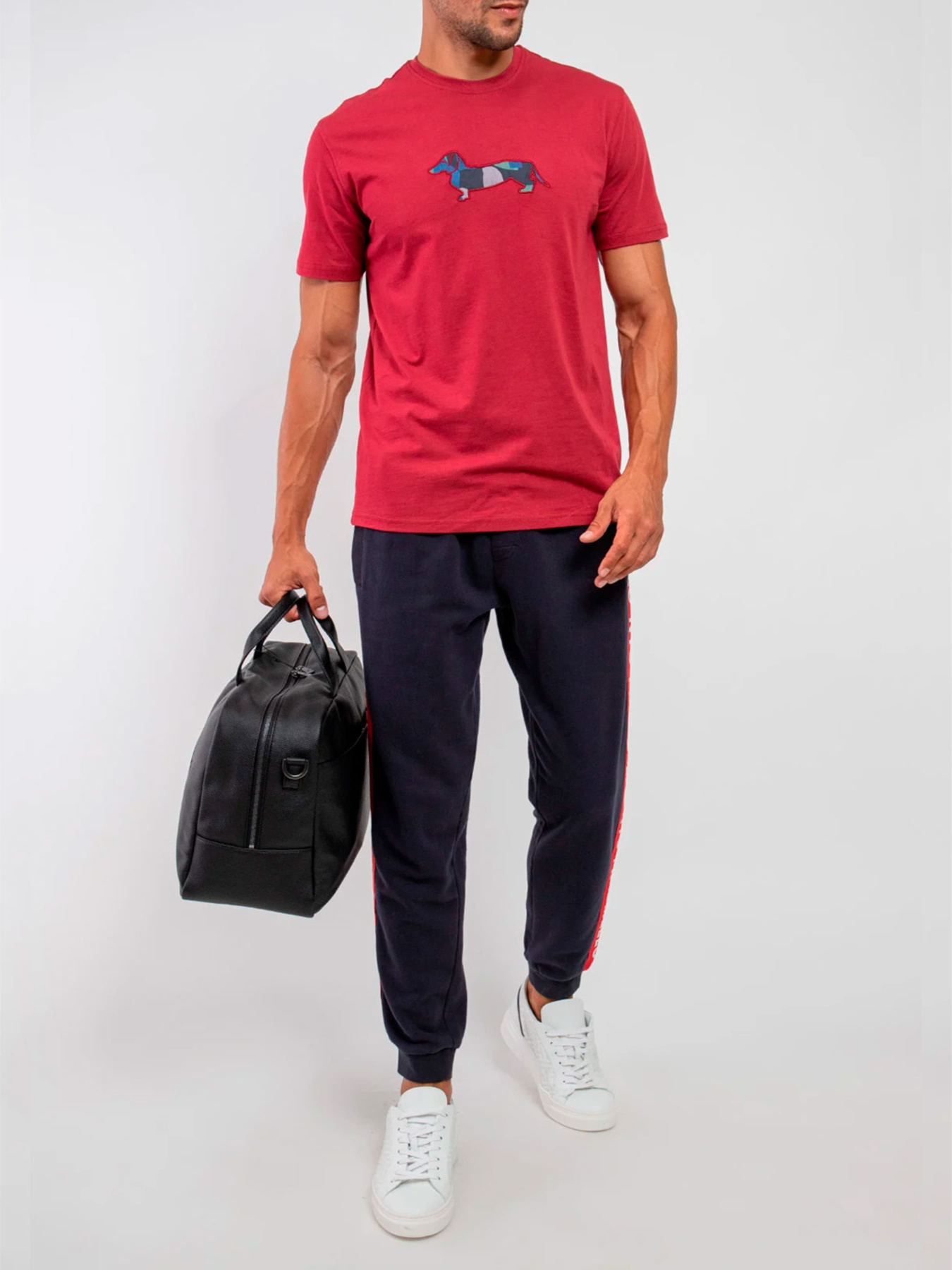 Футболка Harmont&Blaine модель IRK003021223R_532 Фото