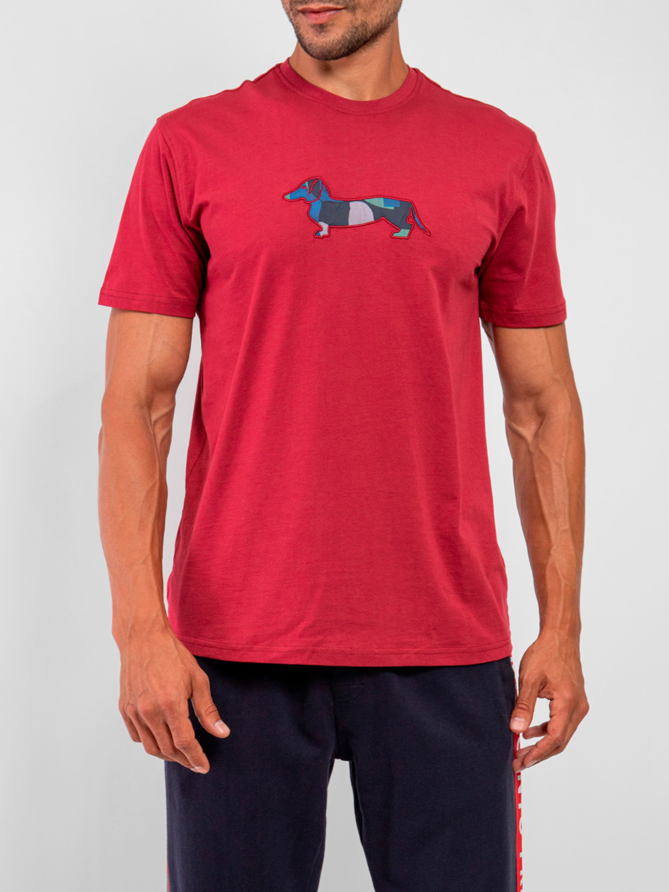 Футболка Harmont&Blaine модель IRK003021223R_532 Фото