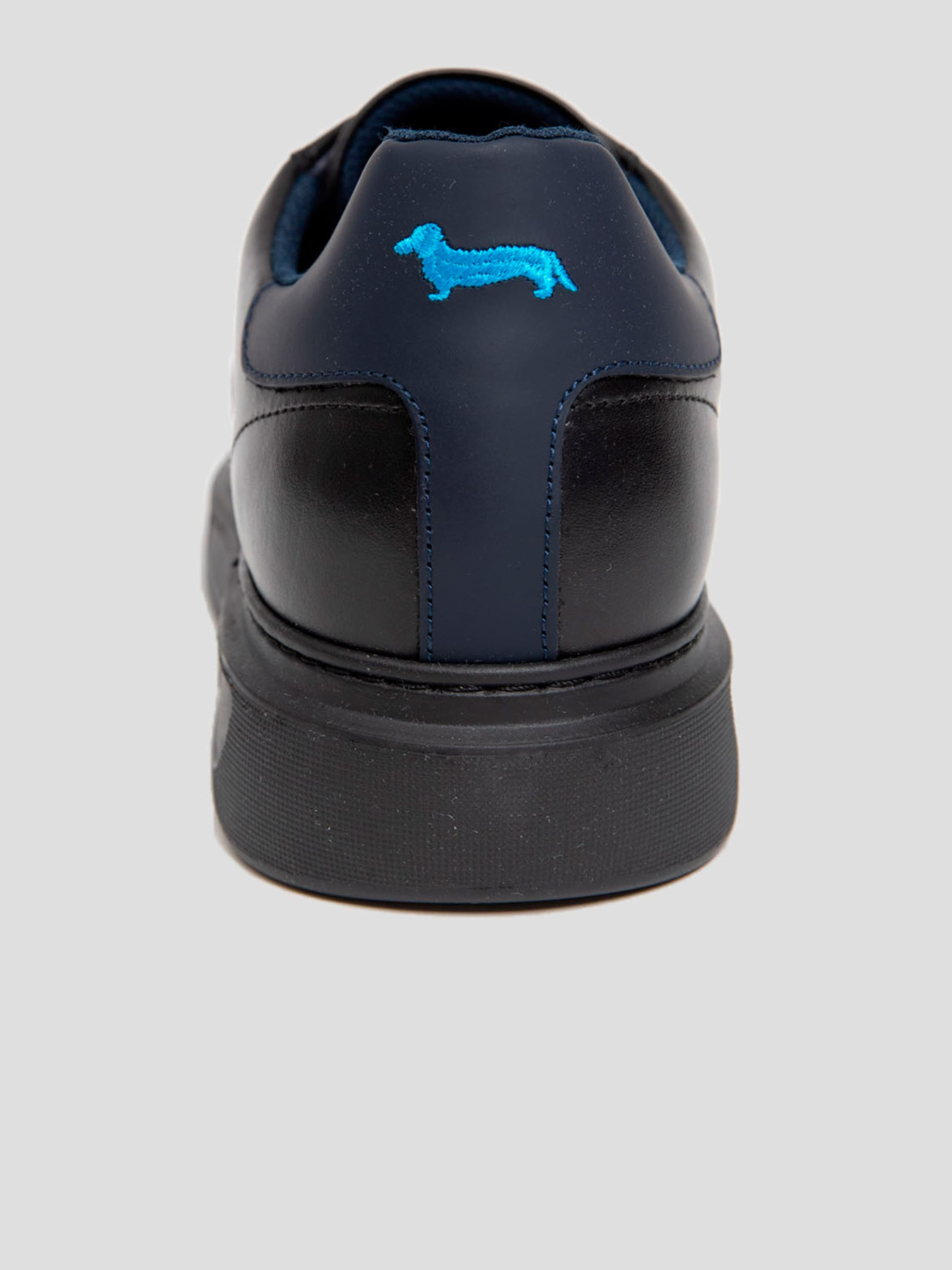 Кеды низкие Harmont&Blaine модель EFM232.002.5030 Кеды низкие Harmont&Blaine модель EFM232.002.5030 Фото