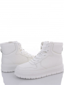 Черевики Stilli модель B11-2 Черевики Stilli модель B11-2 Фото