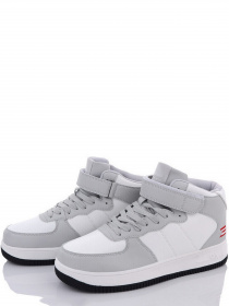 Черевики Stilli модель CX630-22 Фото