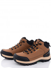 Ботинки Caroc модель AN3646-8 Фото