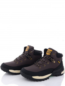 Черевики Caroc модель AN30266-11 Черевики Caroc модель AN30266-11 Фото