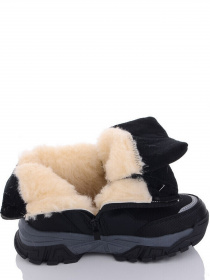 Ботинки Caroc модель A30403 Ботинки Caroc модель A30403 Фото