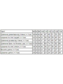 Костюм Носи своє модель 6168-023-33-burshtin Фото