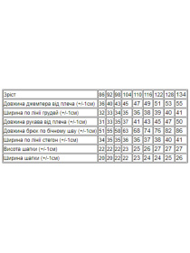 Спортивный костюм Носи своє модель 6168-023-33-5-svtlo-pudrovij Фото