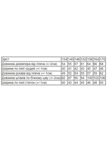 Спортивный костюм Носи своє модель 6152-057-1-chorn-sinj-bryuzovij-nefrit Фото