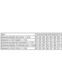 Спортивный костюм Носи своє модель 6398-025-2-chornilxno-sinj Фото