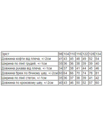 Спортивний костюм Носи своє модель 6018-023-33-6-chornij Фото