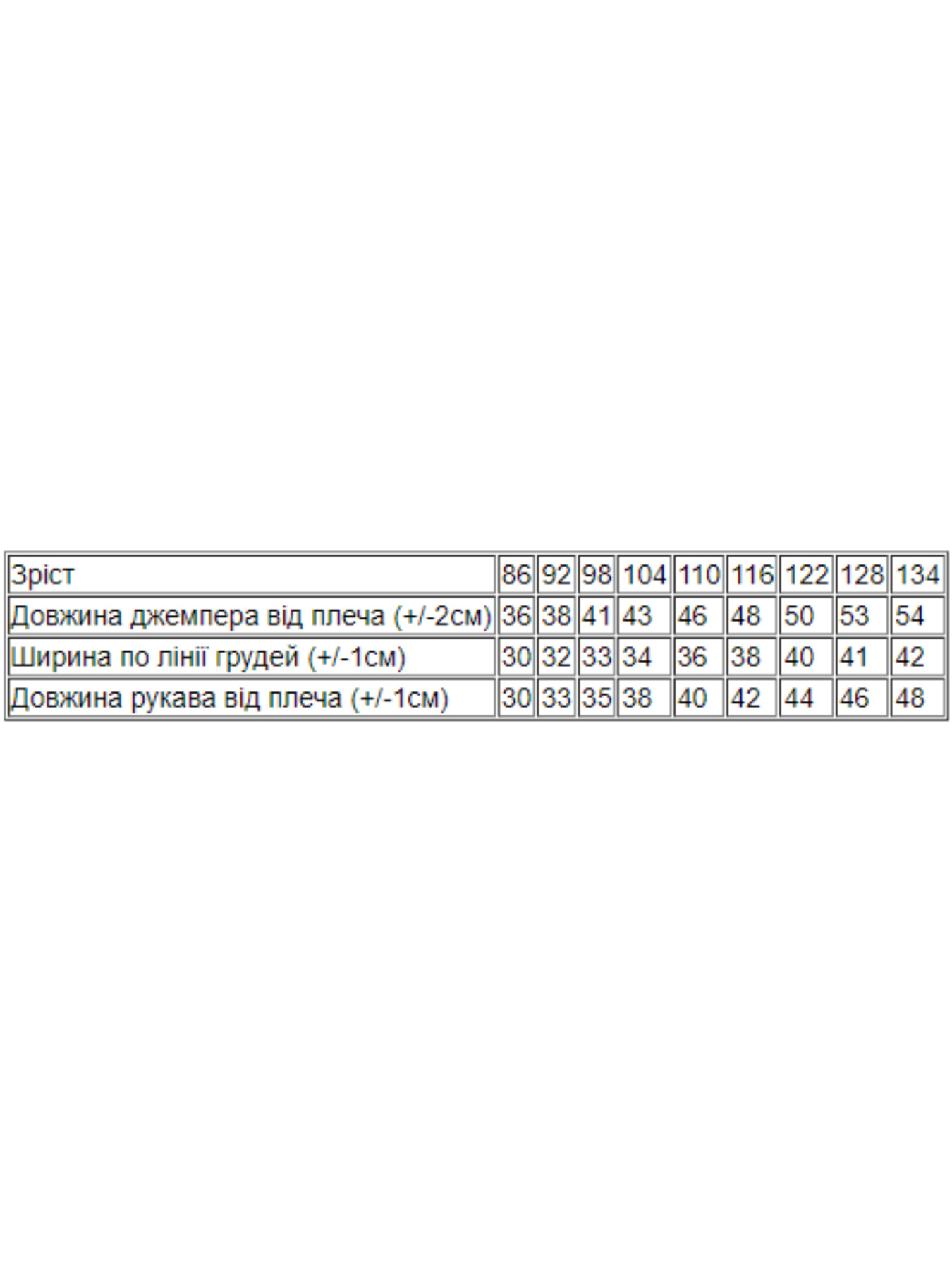 Свитшот Носи своє модель 6069-023-4-blakitnij Фото