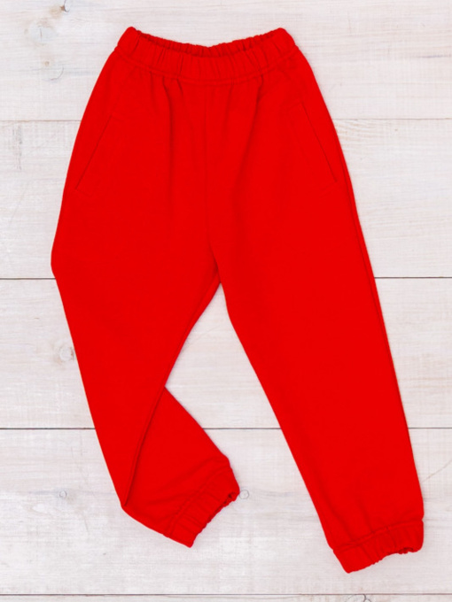 Джоггеры Носи своє модель 6060-057-5-chervonij Фото