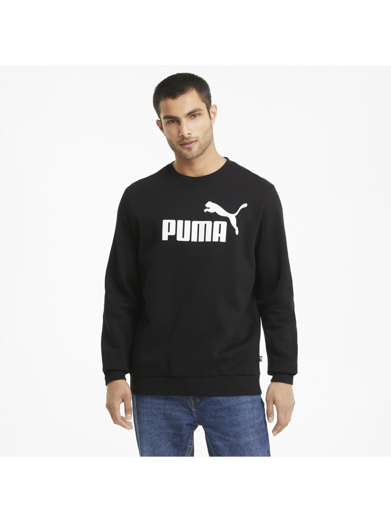 Світшот PUMA Ess Big Logo Crew модель 586678 Фото