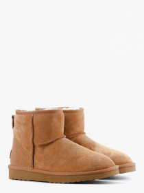 Чоботи LeBERDES модель 00000016355 Фото