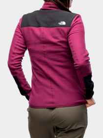 Худи и свитшоты The North Face модель NF0A5II6KK91 Фото