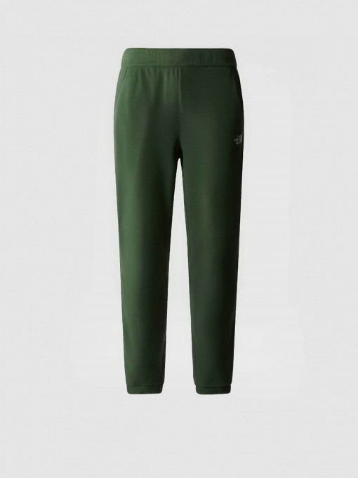 Брюки The North Face модель NF0A8561I0P1 Фото