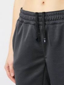 Брюки The North Face модель NF0A856BMN81 Фото