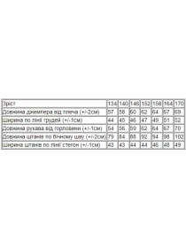 Спортивный костюм Носи своє модель 6397-025-33-1-malinovij-koral Фото