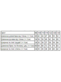 Спортивний костюм Носи своє Модель 6063-023-33-psochnij-nyc Фото