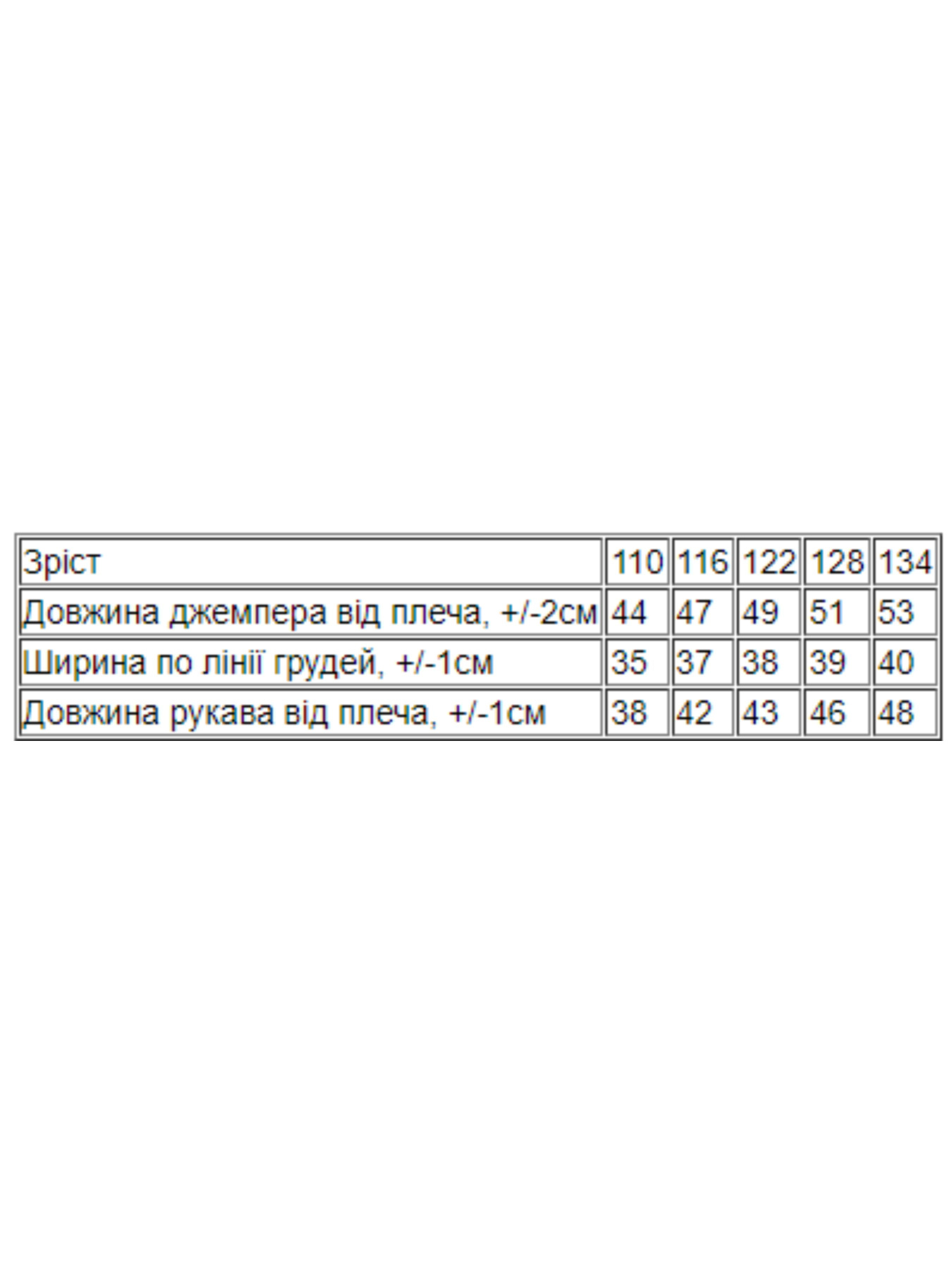 Свитшот Носи своє модель 6069-024-5-pero-kapuchno Фото