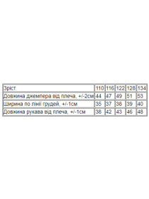 Свитшот Носи своє модель 6069-024-5-pero-kapuchno Фото