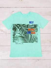 Футболка Носи своє модель 6021-001-33-1-4-m-qta-tropk Футболка Носи своє модель 6021-001-33-1-4-m-qta-tropk Фото