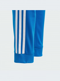 Джоггеры Adidas Adicolor модель IN4758 Фото