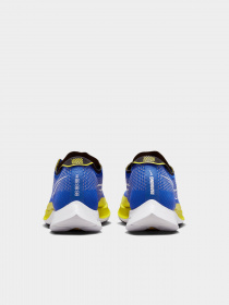 Кроссовки NIKE модель DJ6566-401 Фото