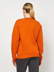 Свитшот Роза модель 230411_mango Свитшот Роза модель 230411_mango Фото