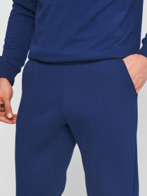 Джоггеры Роза модель 230449_blue Фото