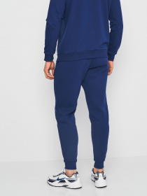 Джоггеры Роза модель 230449_blue Джоггеры Роза модель 230449_blue Фото