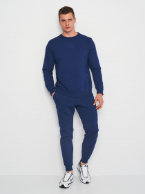 Джоггеры Роза модель 230449_blue Джоггеры Роза модель 230449_blue Фото