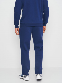 Брюки повседневные Роза модель 220607_blue Фото