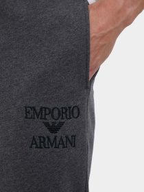 Брюки Emporio Armani модель 111873-3F571-57720 Фото