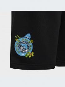 Шорты Adidas Graphics модель HF7447 Фото