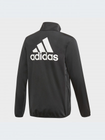 Спортивный костюм Adidas модель GN3974 Фото