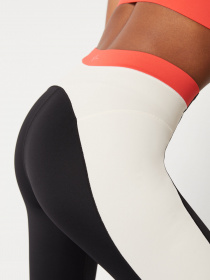 Легінси спортивні Dash and Stars модель 5176030-01 Фото