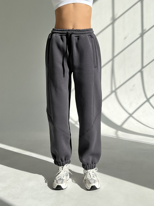 Джоггеры IJ модель ij-joger-freedom-grafit-flis Фото