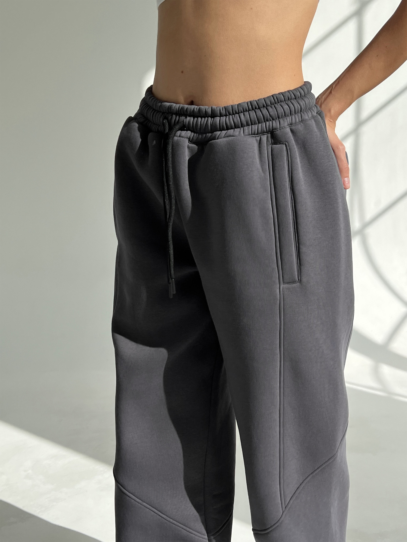 Джоггеры IJ модель ij-joger-freedom-grafit-flis Фото