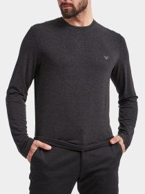 Худи и свитшоты Emporio Armani модель 111653-3F584-00020 Фото