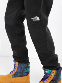 Брюки The North Face модель NF0A7WXXJK31 Фото