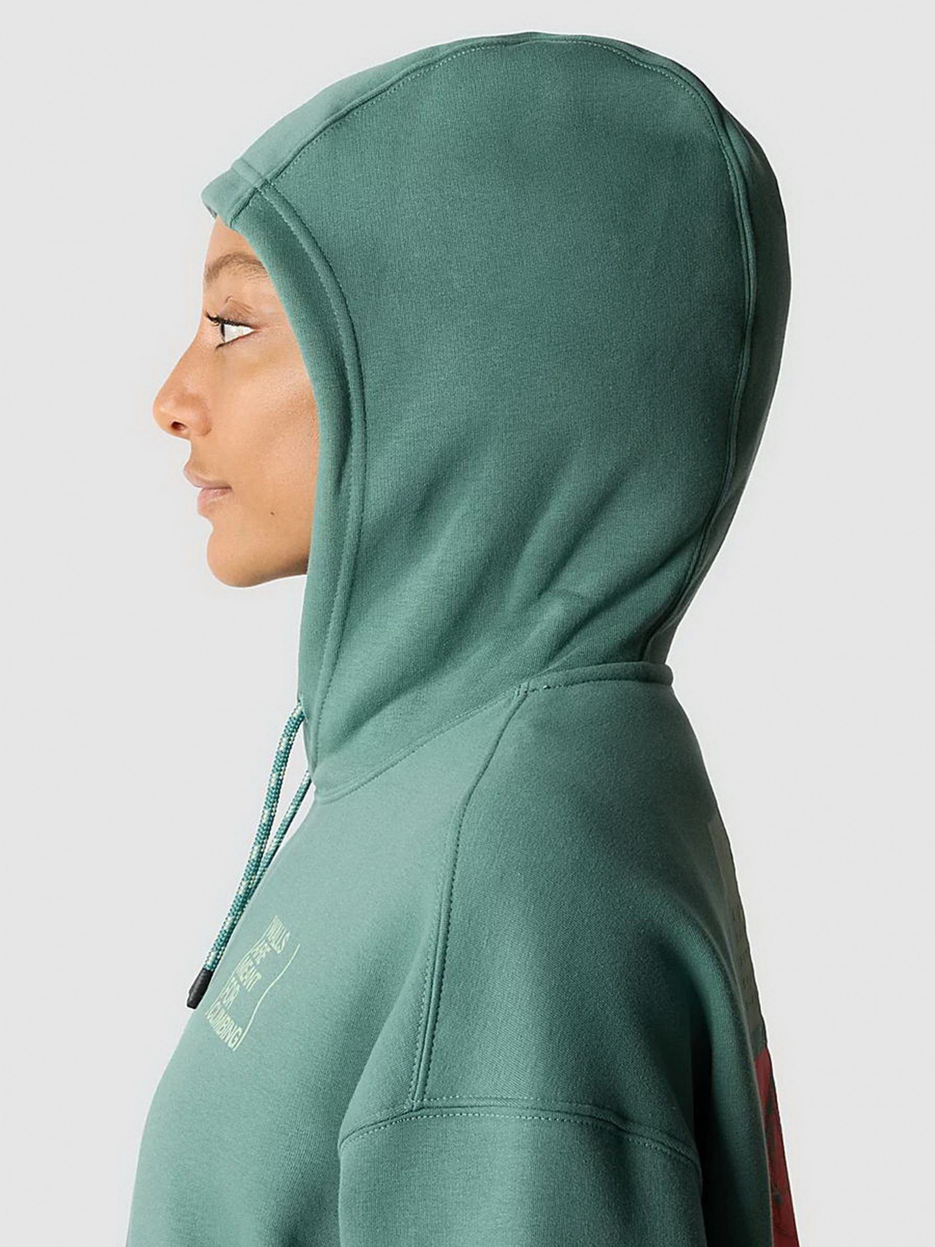 Худи и свитшоты The North Face модель NF0A8525I0F1 Фото