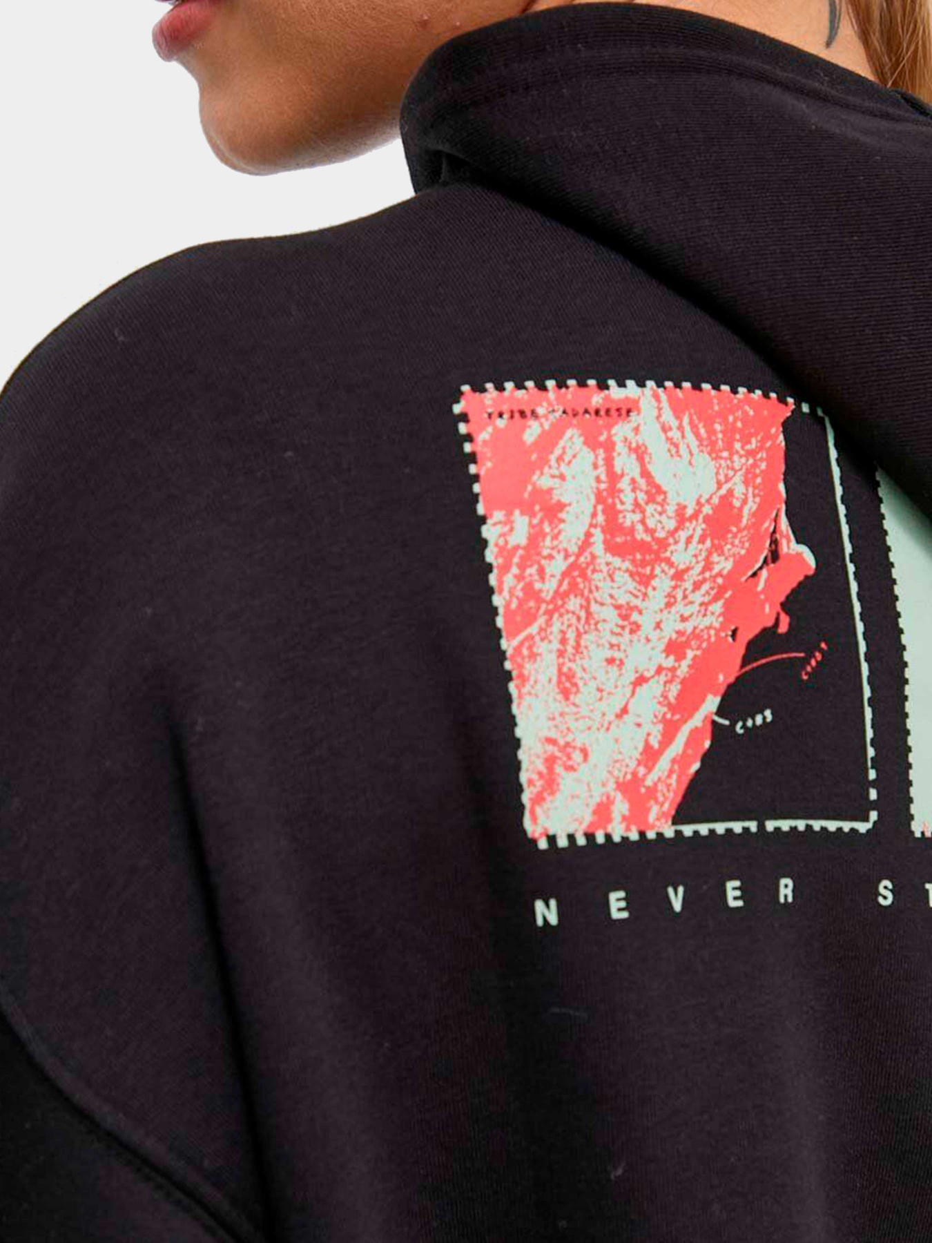 Худи и свитшоты The North Face модель NF0A8525JK31 Фото