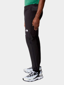 Брюки The North Face модель NF0A856YKT01 Фото