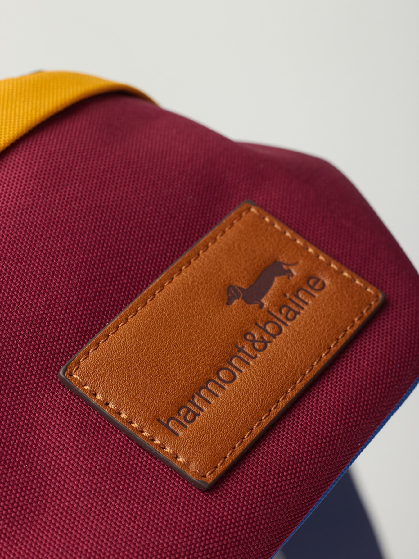 Поясная сумка Harmont&Blaine модель H4DPMH370022000 Фото