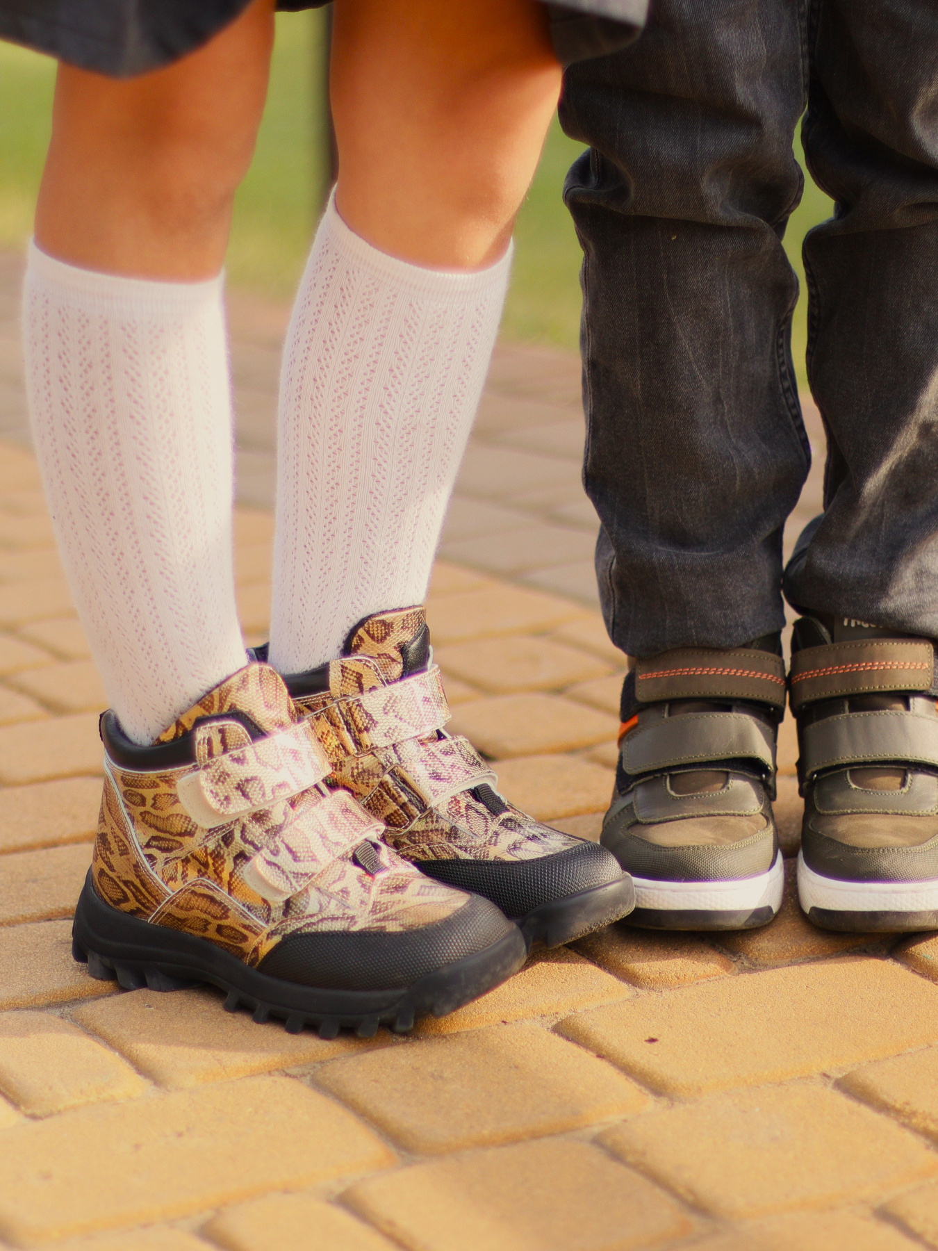 Ботинки Theo Leo модель LEO-500323 Фото