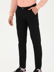 Брюки повседневные US Polo модель USPAINT.1600081.VR046 Фото