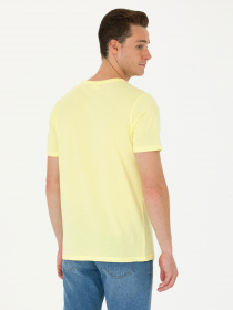 Футболка US Polo модель USPAINT.1573626.VR004 Фото