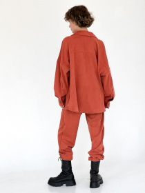 Штани повсякденні IJ модель ij-pants-lip-zamsh-cegla Фото