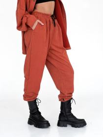 Штани повсякденні IJ модель ij-pants-lip-zamsh-cegla Фото